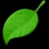 Leaf Icon Mb Image